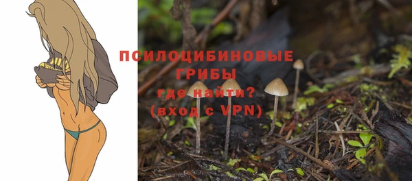 MDMA Липки