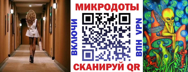 Псилоцибиновые грибы Psilocybe Старый Оскол