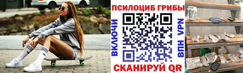 Купить где  Старый Оскол  Галлюциногенные грибы GOLDEN TEACHER 